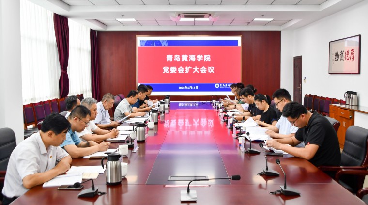 365官网召开党委会扩大会议，同时套开年轻干部深入贯彻中央八项规定精神学习教育专题研讨交流会